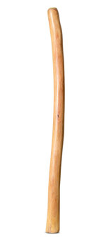 Medium Size Natural Finish Didgeridoo (TW1678)